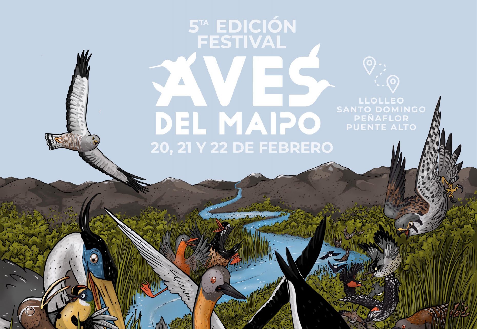 5° Festival de Aves del Maipo: Una cita con la biodiversidad y la conservación