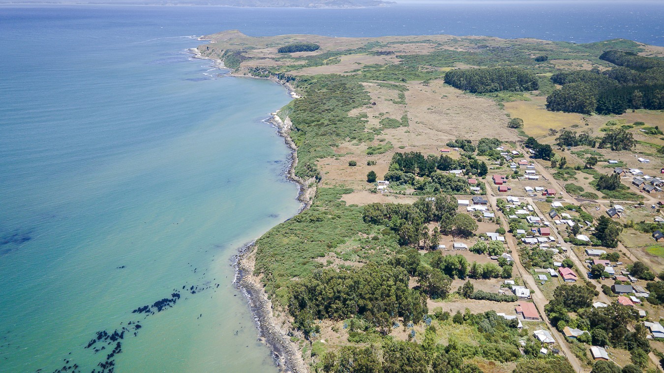 Monitoreo de aves en la Región del Biobío impulsa la ciencia y colaboración comunitaria