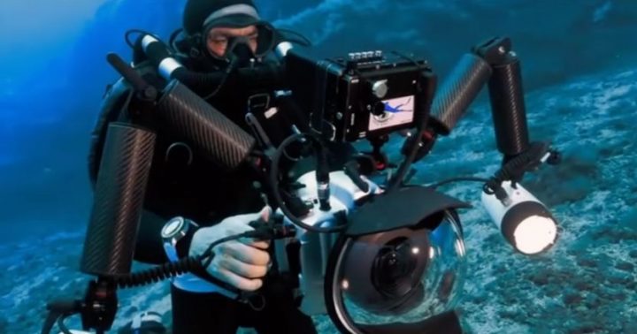 Francis Pérez, fotógrafo submarino: “Una fotografía puede ser una herramienta de conservación”