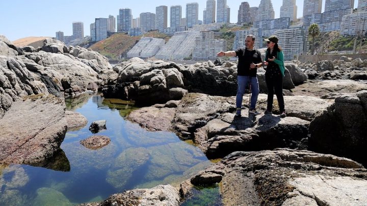 Científicos chilenos buscan descifrar el sistema de 