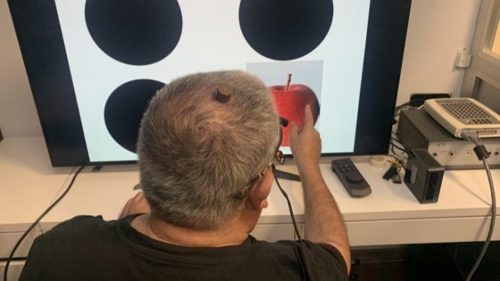 Logran recuperar la visión parcial de una persona ciega mediante estimulación cerebral