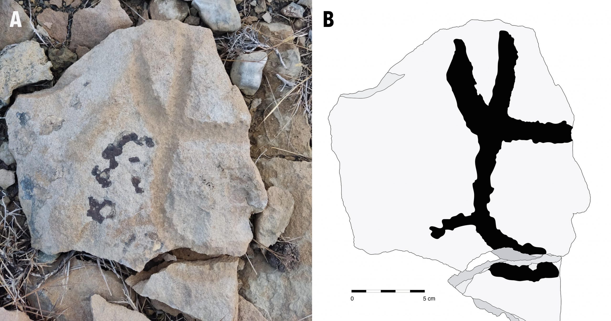 Investigan los primeros grabados rupestres documentados en la Región de Magallanes