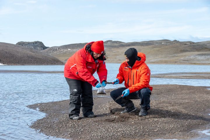 Hongos antárticos: Estudio chileno explora su diversidad en las islas Shetland del Sur