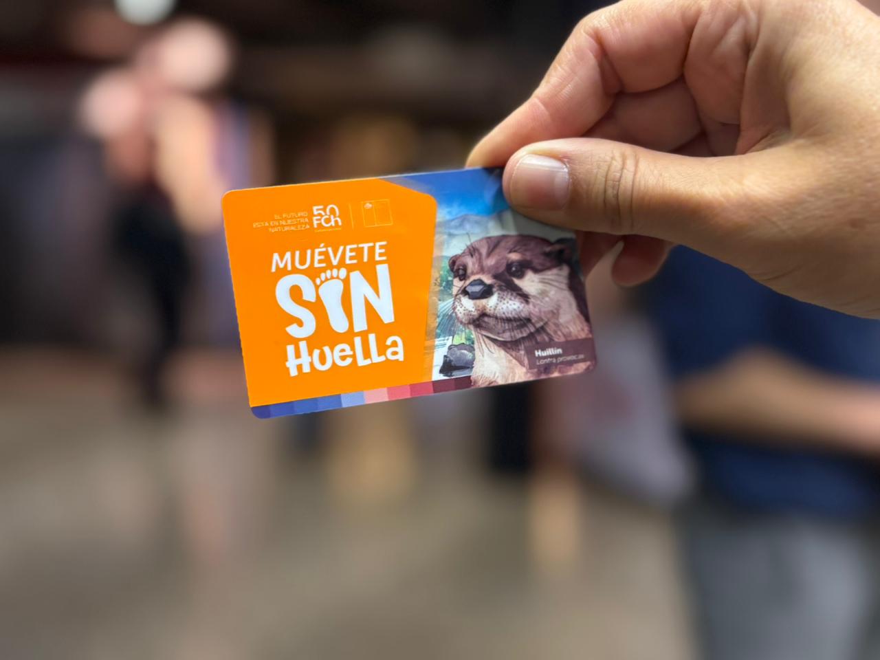 El huillín llega a Metro: Lanzan nueva tarjeta bip! para concientizar sobre la biodiversidad