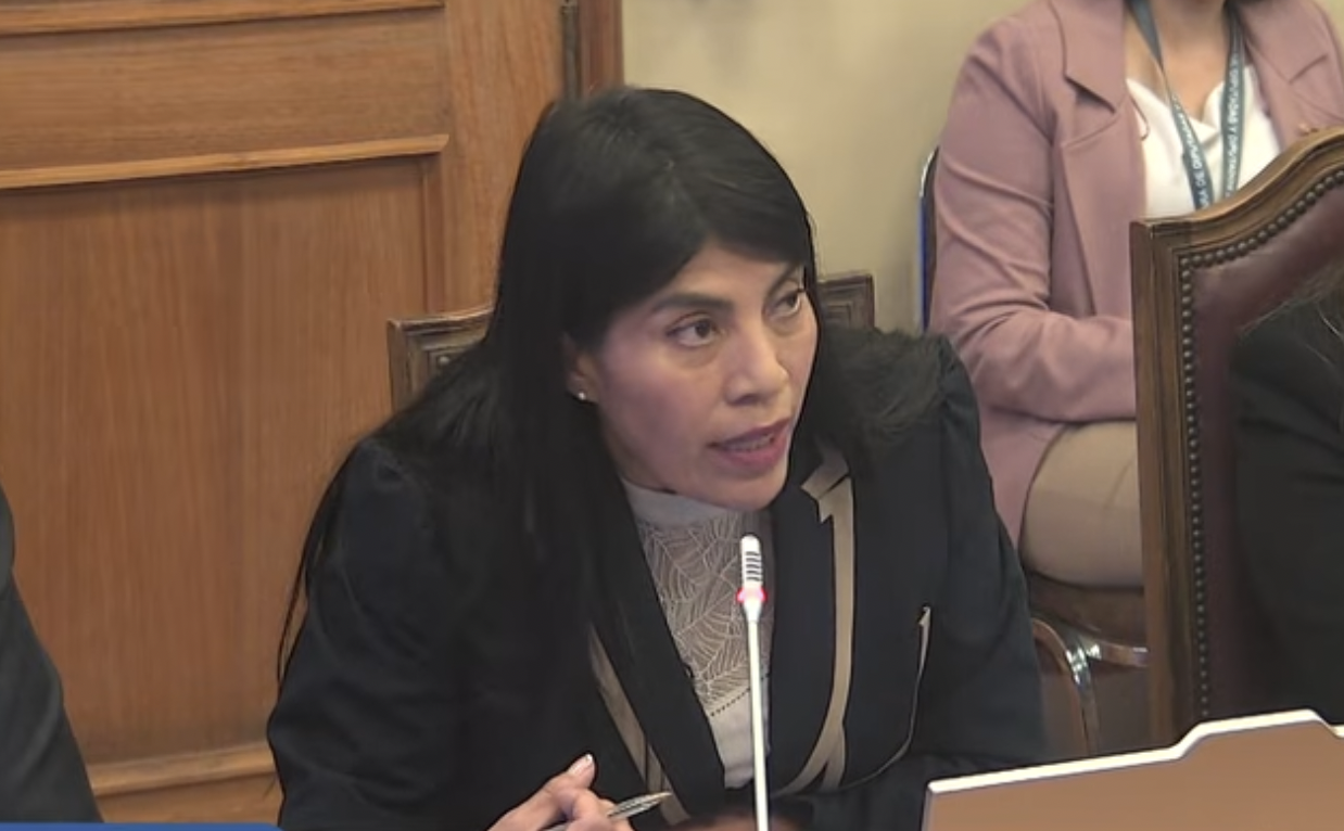 Ministra de Ciencia anuncia suspensión de becas de magíster y posdoctorado al extranjero