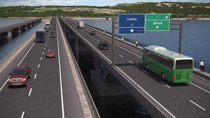 Organizaciones advierten posibles riesgos para la fauna con proyecto de nueva carretera en Chiloé