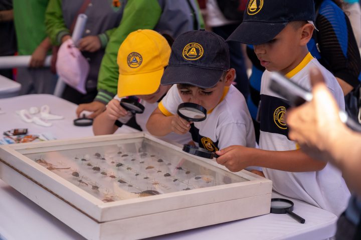 Más de 100 actividades gratuitas darán vida al Festival Puerto de Ideas en Antofagasta