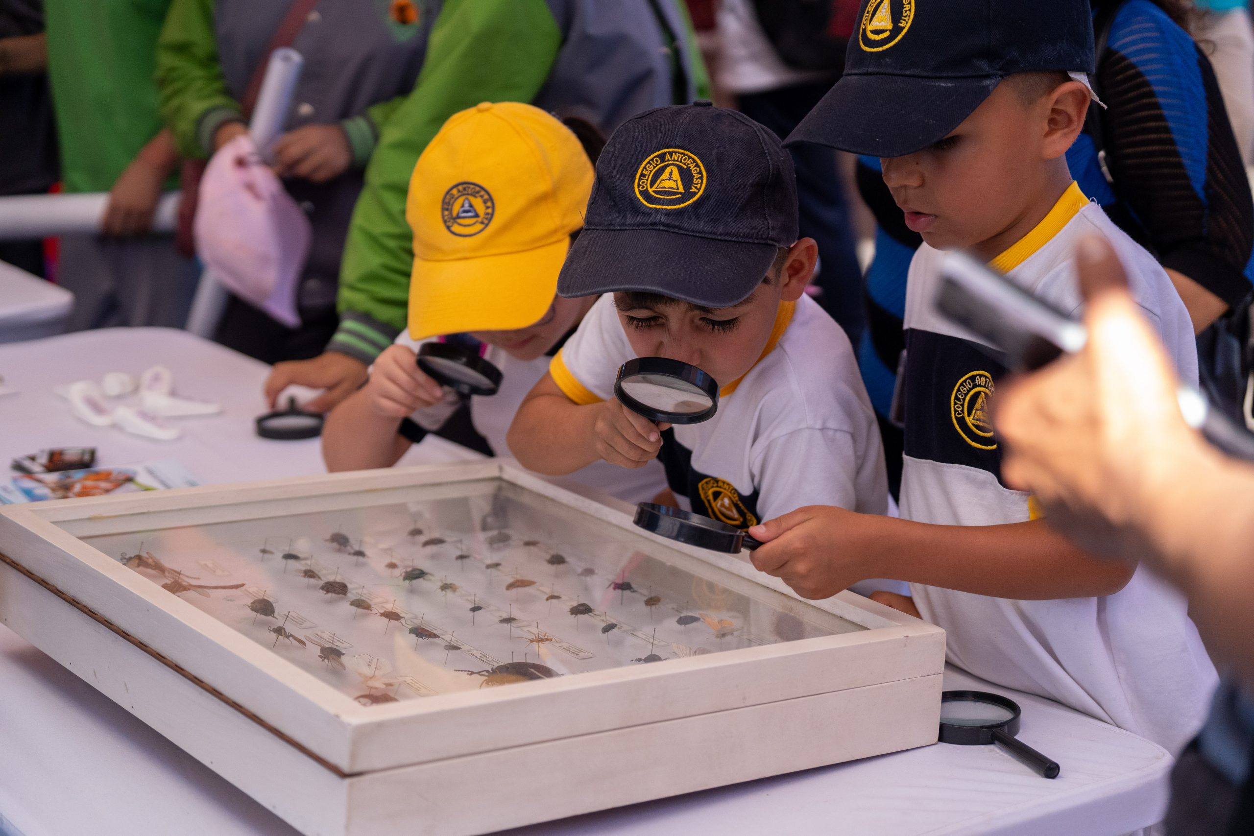 Más de 100 actividades gratuitas darán vida al Festival Puerto de Ideas en Antofagasta