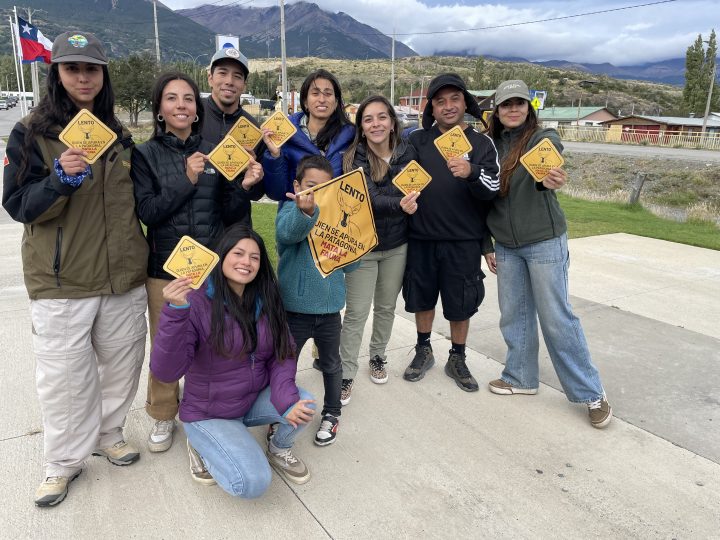 Comunidad de Aysén impulsa campaña para proteger al huemul en Cerro Castillo