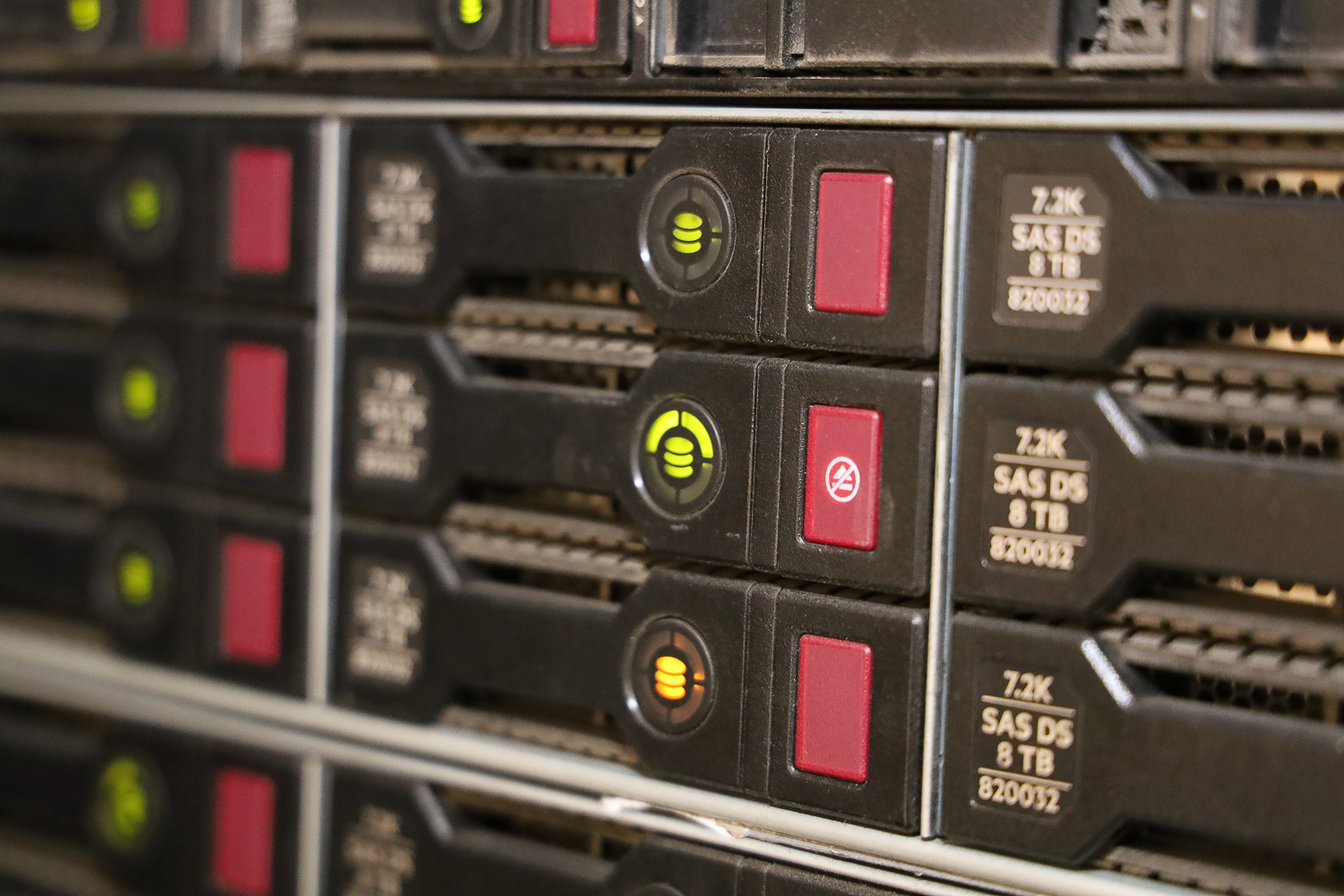 Universidad de O’Higgins lanzó plataforma de secuenciación genética y bioinformática