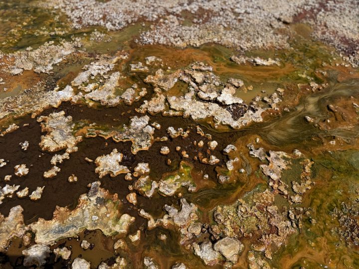 Virus extremos en El Tatio: Investigación revela el secreto de la vida en el Altiplano