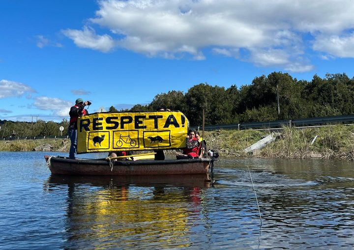 Guardianes de la fauna: Cómo una comunidad levantó el primer letrero vial para proteger al huillín en Chiloé