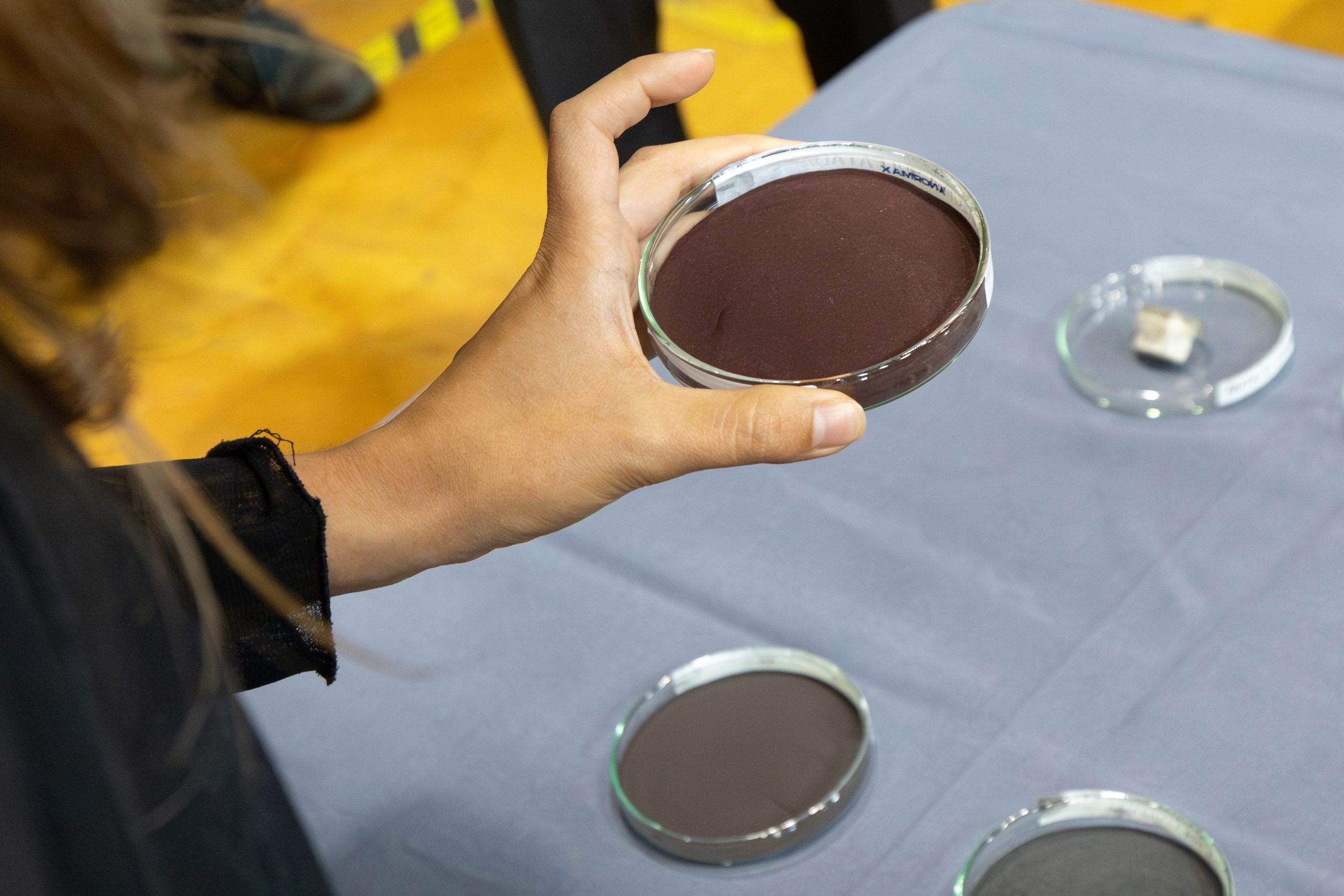 Minería sustentable: UdeC inicia pilotaje de tecnología para procesar cobre sin emisiones ni residuos