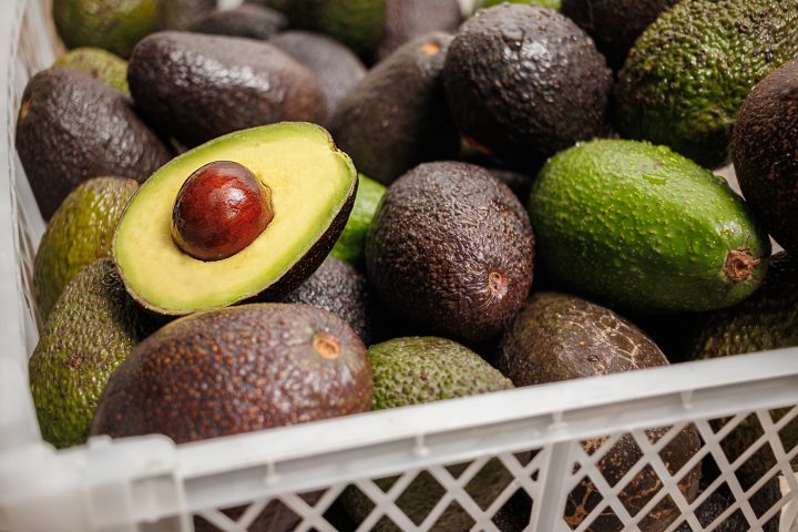 Científicos desarrollan recubrimiento natural para extender la vida de la palta Hass