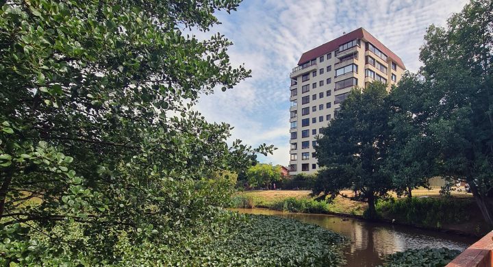 Los sonidos sí importan: Estudio vincula paisajes sonoros urbanos con el bienestar mental