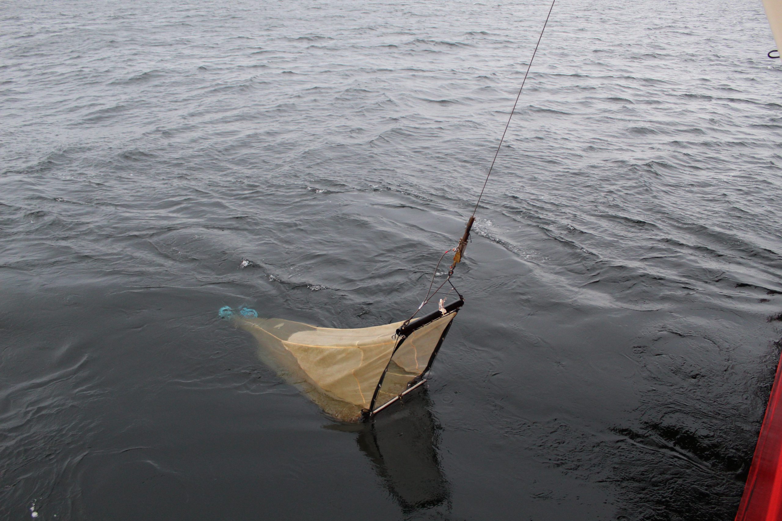 Un científico a bordo de un buque hacia la Antártica: 