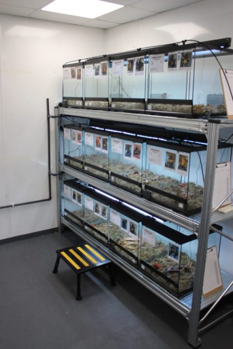 Créditos: Ben Tapley/ Zoológico de Londres