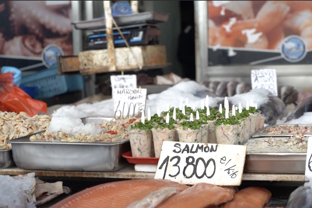 Estudio aborda riesgos de zoonosis de origen marino y promueve estrategias de prevención en el país