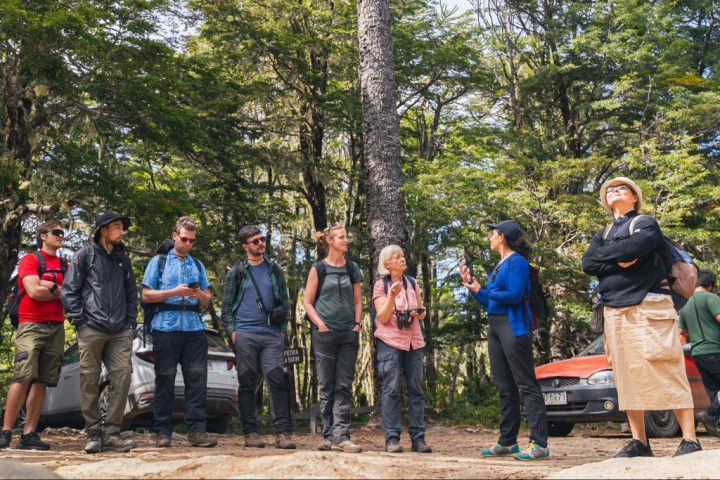 Campus Naturaleza UdeC y expertos europeos se unen en alianza para salvar la flora nativa de Chile
