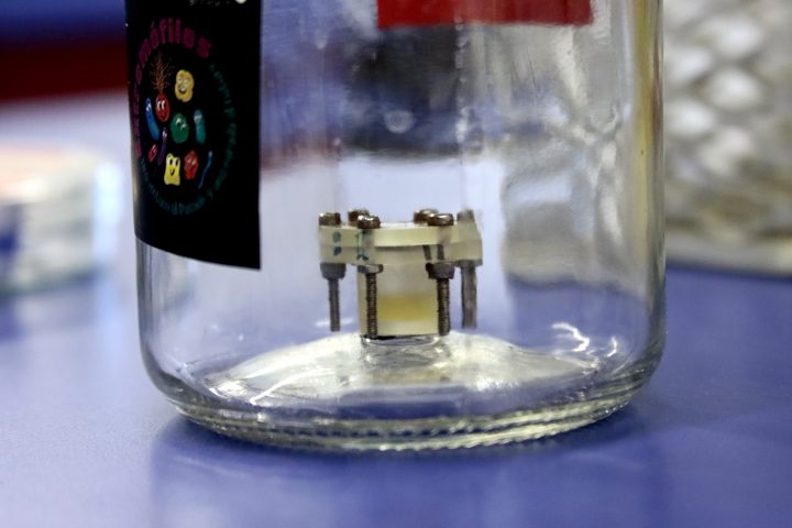 Este miércoles despegará la misión que llevará microorganismos chilenos al espacio