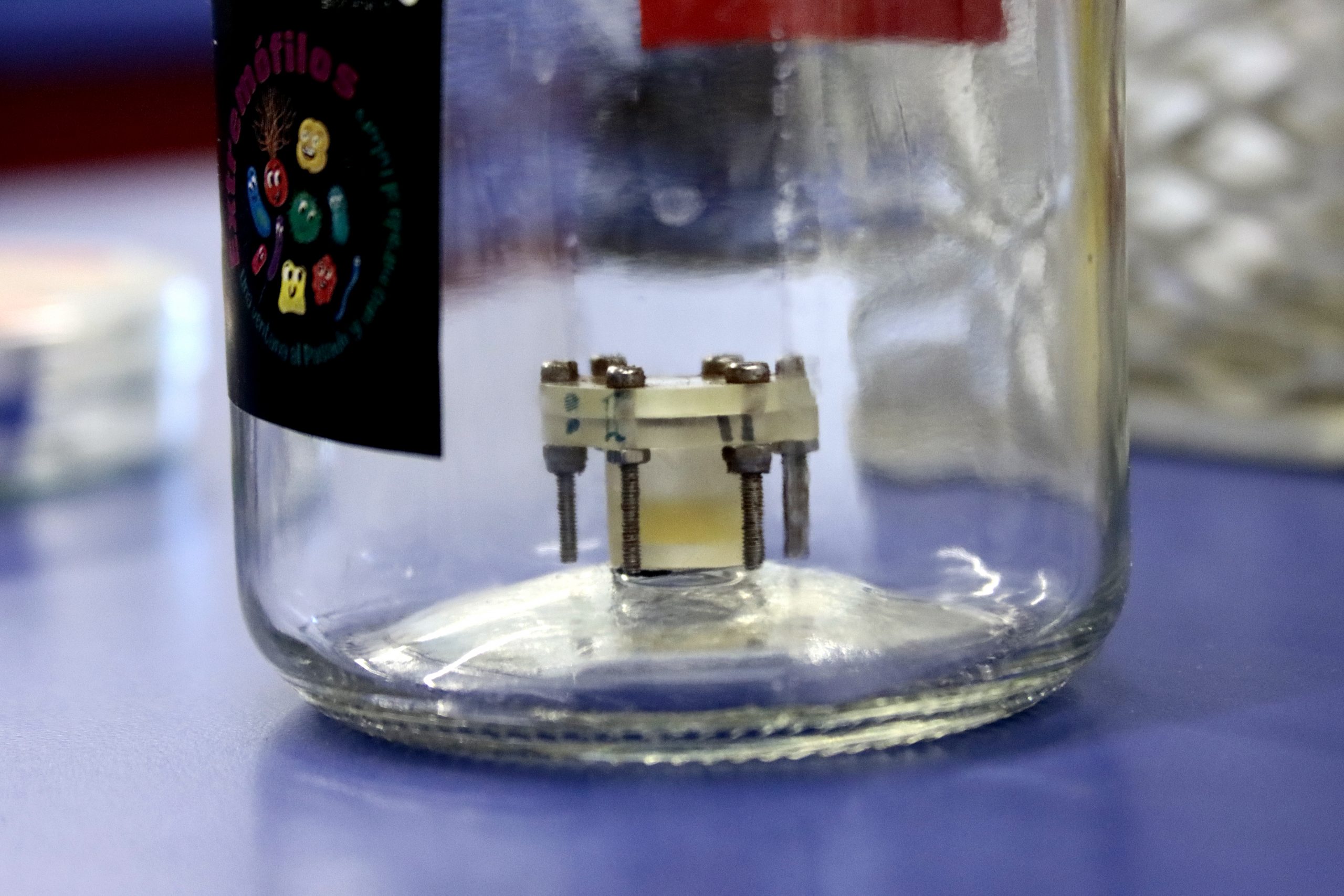 Este miércoles despegará la misión que llevará microorganismos chilenos al espacio