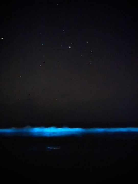 Foto: Janina Guerrero, diseñadora del Centro Científico CEAZA.