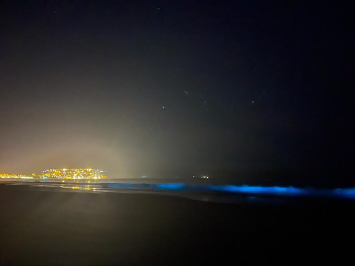 El mar se ilumina en Guanaqueros: Expertos explican el fenómeno de bioluminiscencia