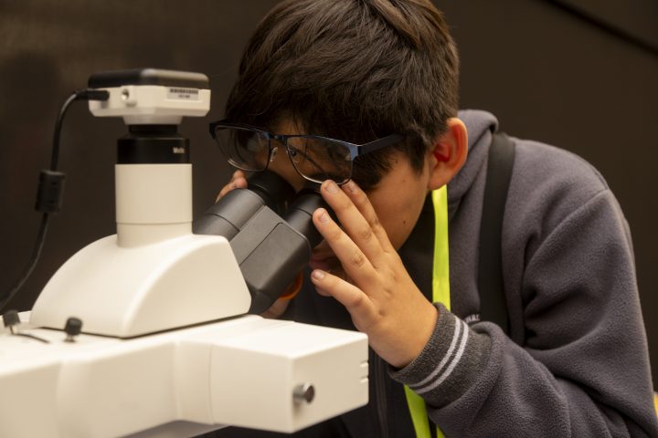 Genética y salud serán parte del Festival Puerto de Ideas Antofagasta 2026