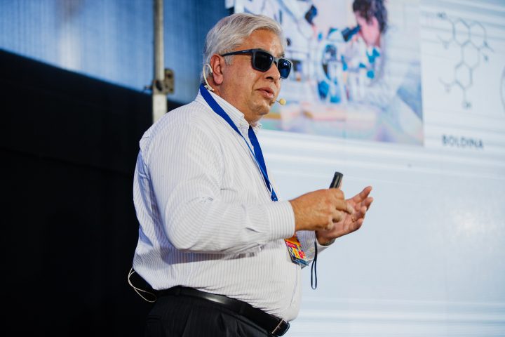 Boldo: del remedio casero a la ciencia que combate la inflamación