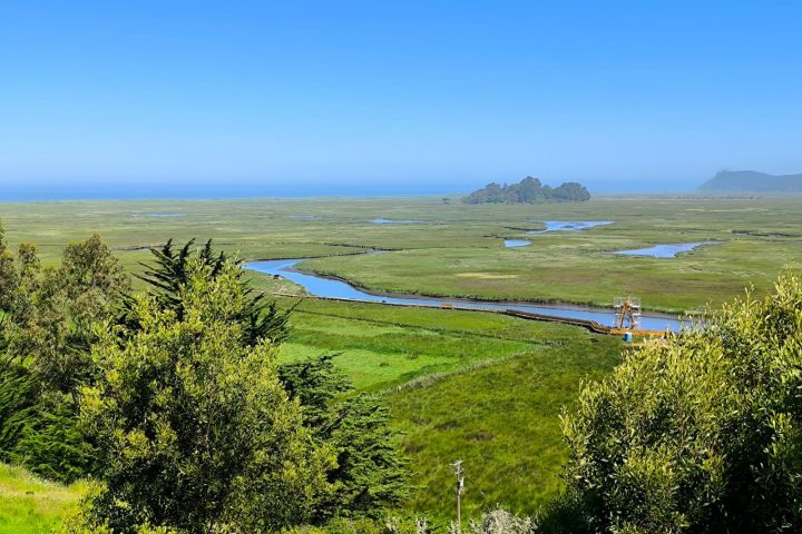 Humedales: Estudio destaca su valor para la memoria biocultural y la identidad local