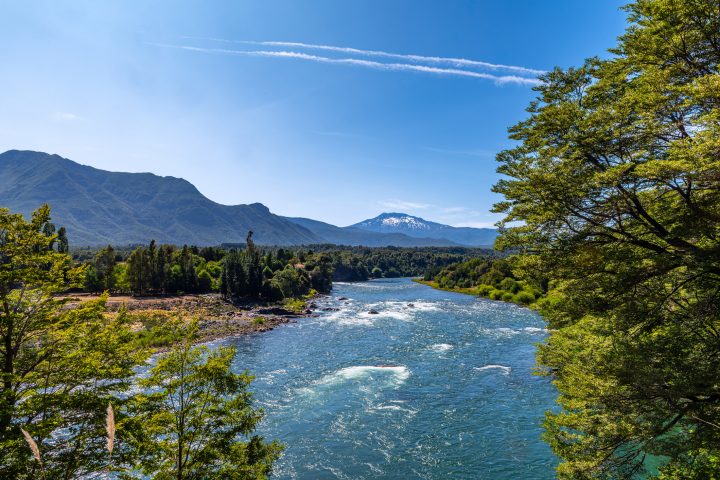 Estudio en Concepción revela falta de conocimiento sobre especies locales