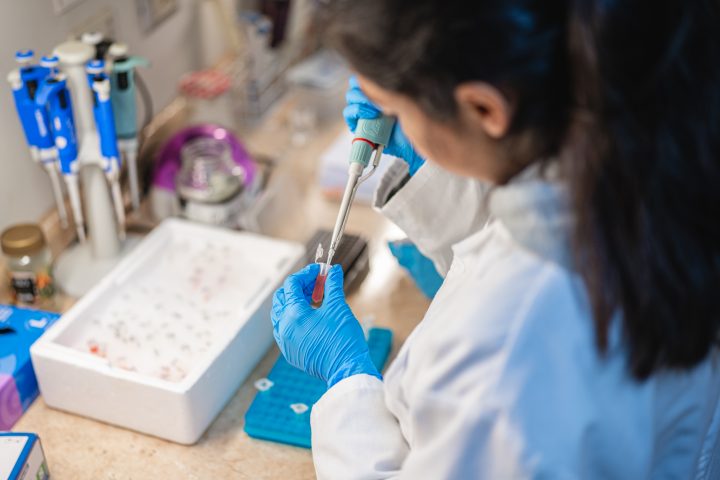 Investigan derivado del Omega 3 que podría disminuir daño hepático asociado a la diabetes