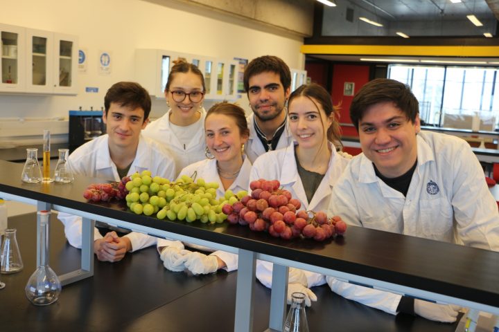 Estudiantes crean compuesto antiedad a partir de desechos de la industria del vino