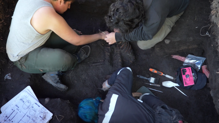 Hallazgo arqueológico: Encuentran restos humanos de 5.000 años en el antiguo lago Tagua Tagua