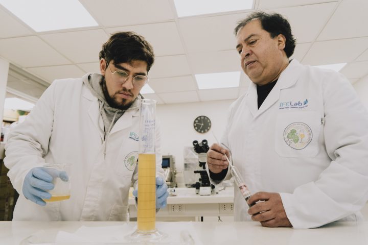 Científicos explican por qué hacer cerveza sin alcohol es mucho más complejo que la tradicional