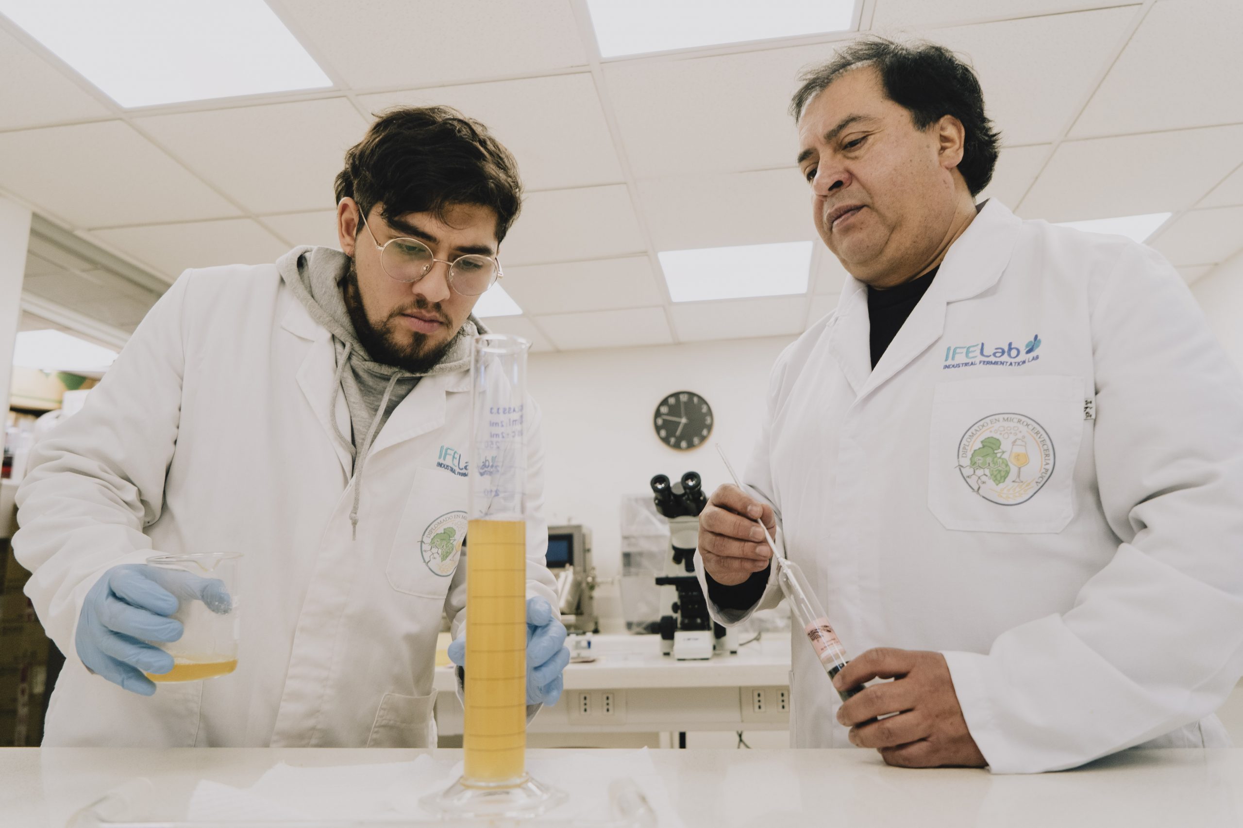 Científicos explican por qué hacer cerveza sin alcohol es mucho más complejo que la tradicional