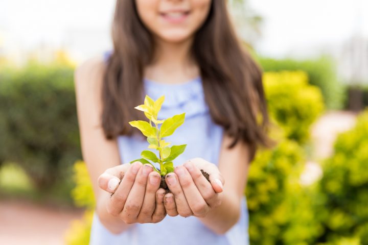 Aprendizaje basado en naturaleza: La apuesta educativa para combatir el impacto de las pantallas