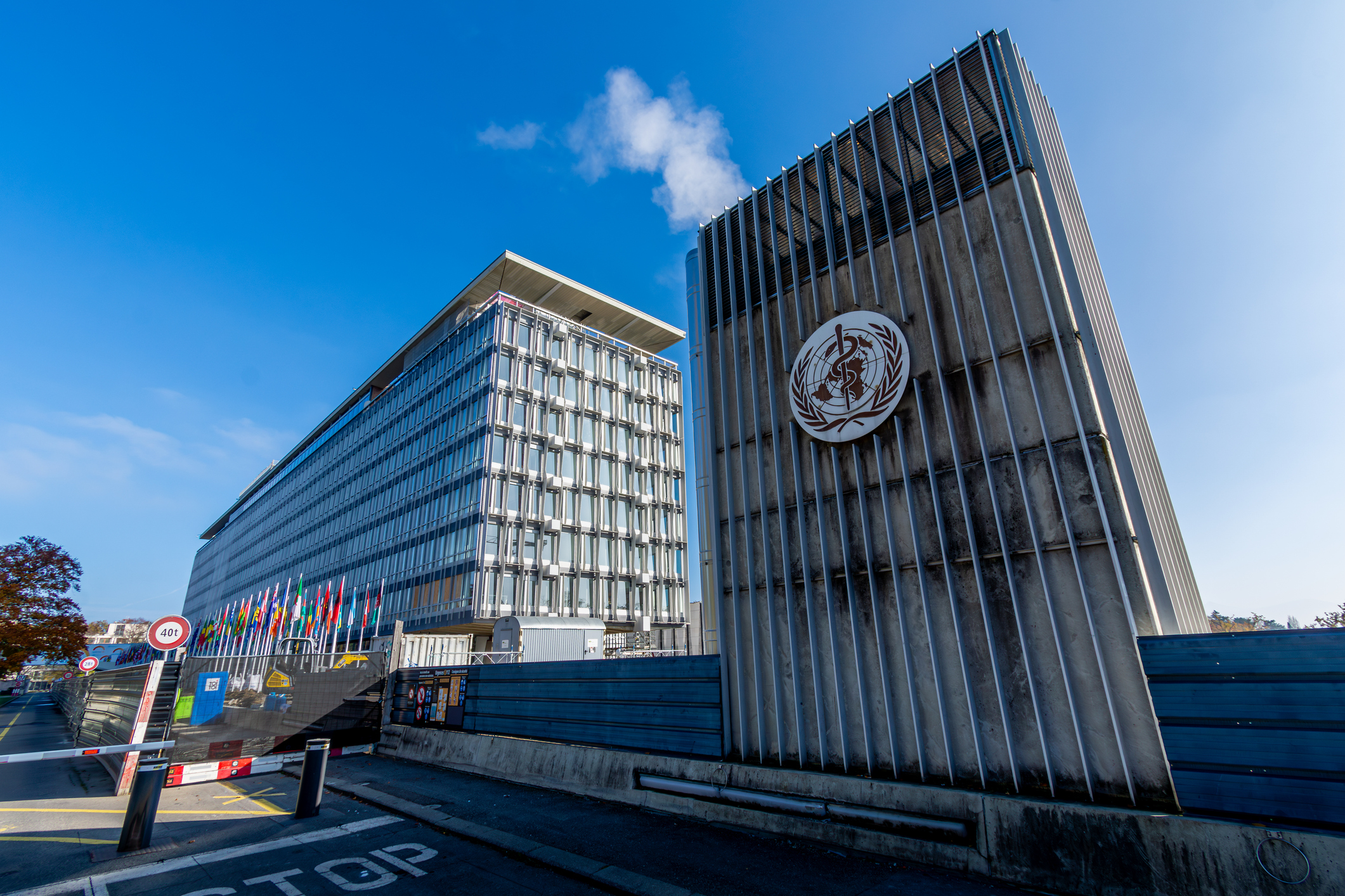 La OMS reconocerá a 17 países que eliminaron enfermedades en el último año: Chile está en el listado
