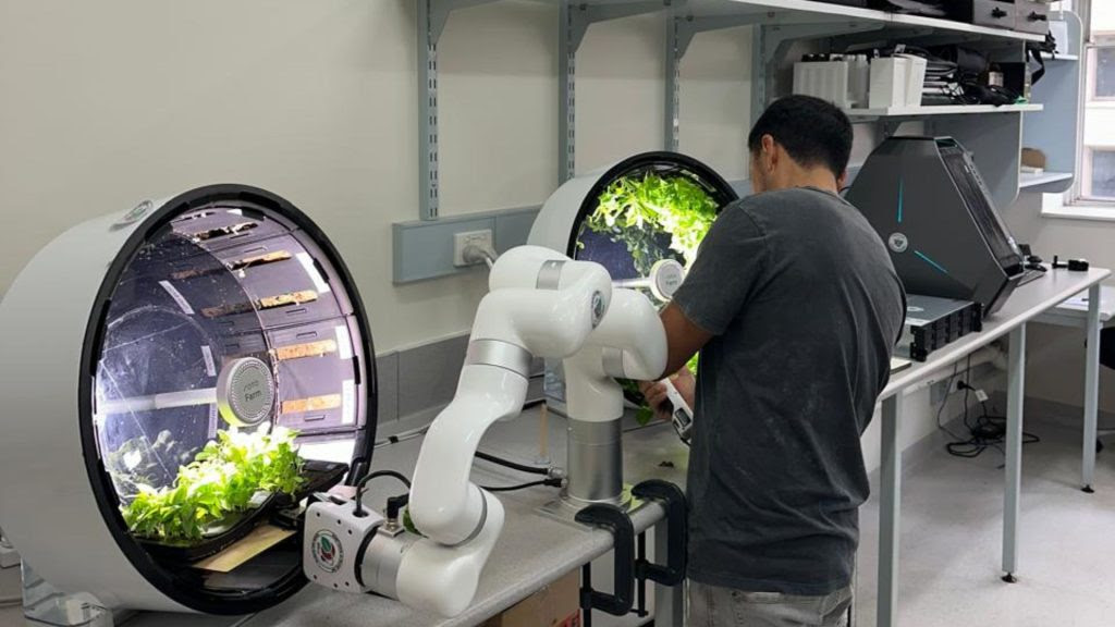 Científicos chilenos estudian cómo adaptar plantas al espacio para enfrentar sequías