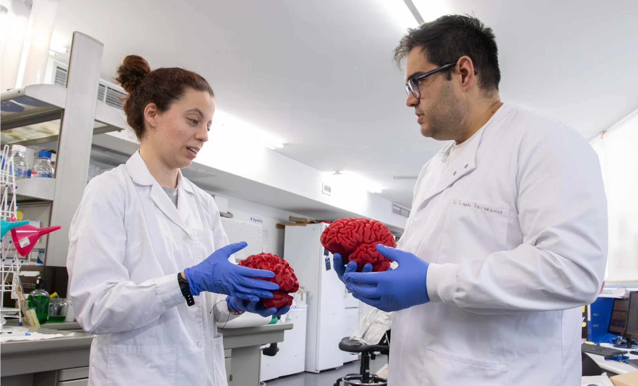 Descubren proteína clave para el desarrollo cerebral vinculada al autismo y la esquizofrenia