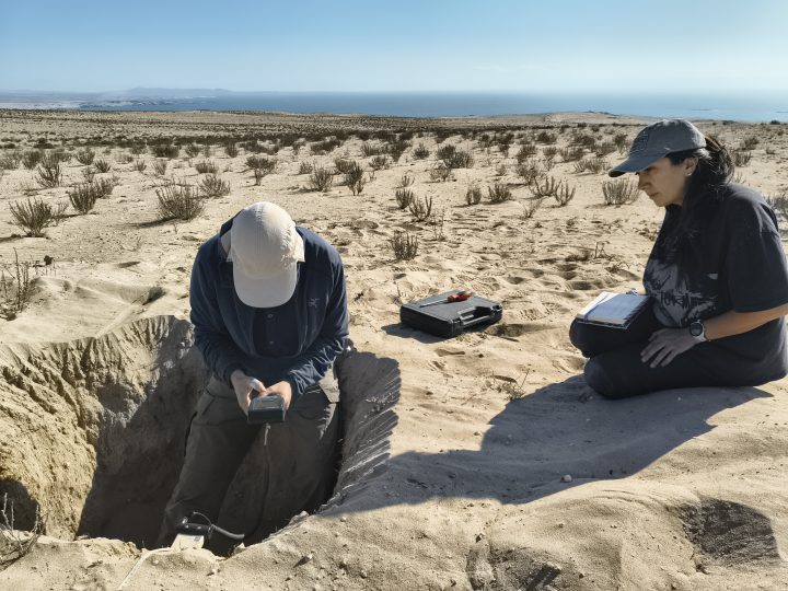 En Atacama: Científicos identifican tres nuevos microorganismos con alta capacidad de adaptación