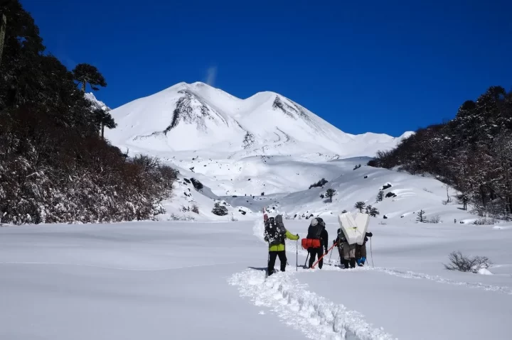 Glaciar Sollipulli registra acelerada pérdida de hielo con potencial impacto en recursos hídricos