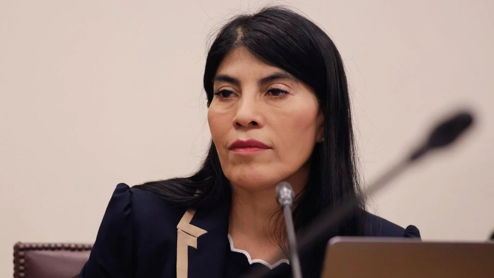 Ministra Lincolao busca limitar recorte de Ciencia al 3% y defiende suspensión de Becas Chile