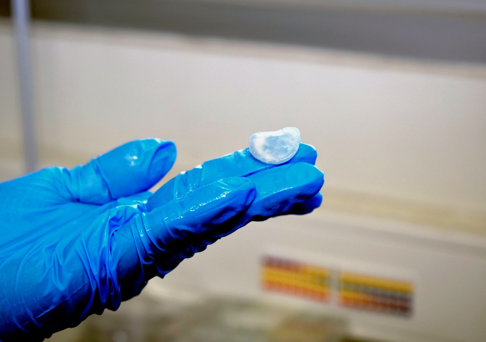 Científicos de la Usach desarrollan biomaterial para combatir infecciones multirresistentes