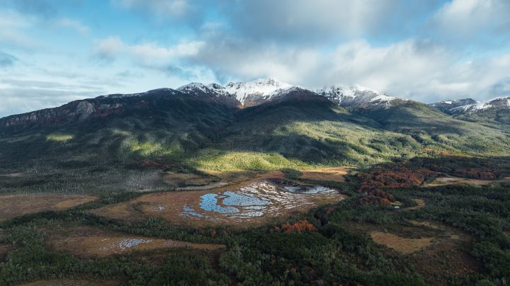 Turberas de Cabo Froward almacenarían tres veces más carbono que los bosques nativos