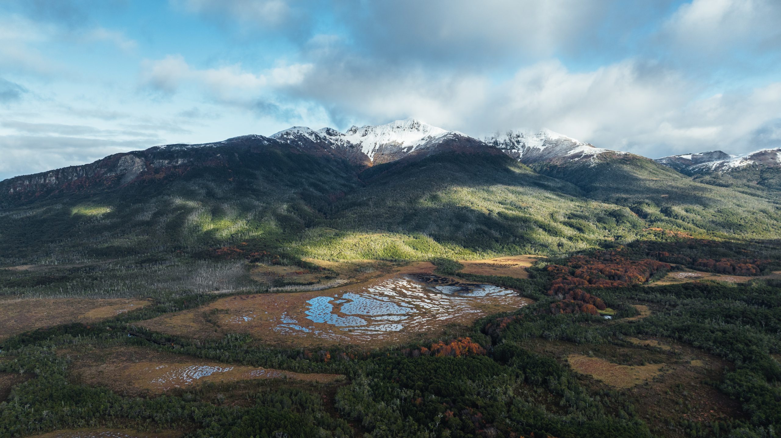 Turberas de Cabo Froward almacenarían tres veces más carbono que los bosques nativos