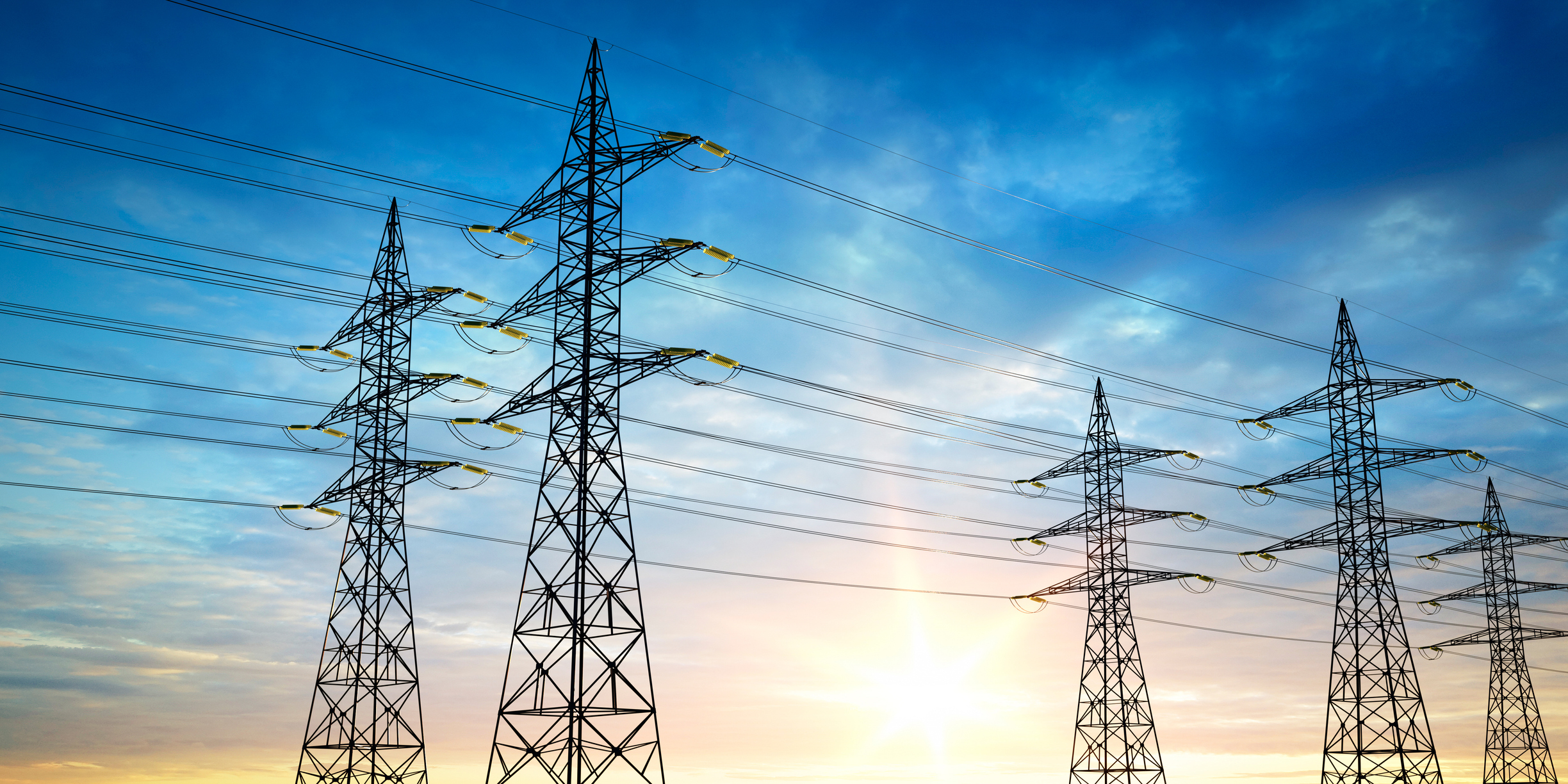Lanzan manual para proteger la biodiversidad en Chile frente al impacto de las líneas eléctricas