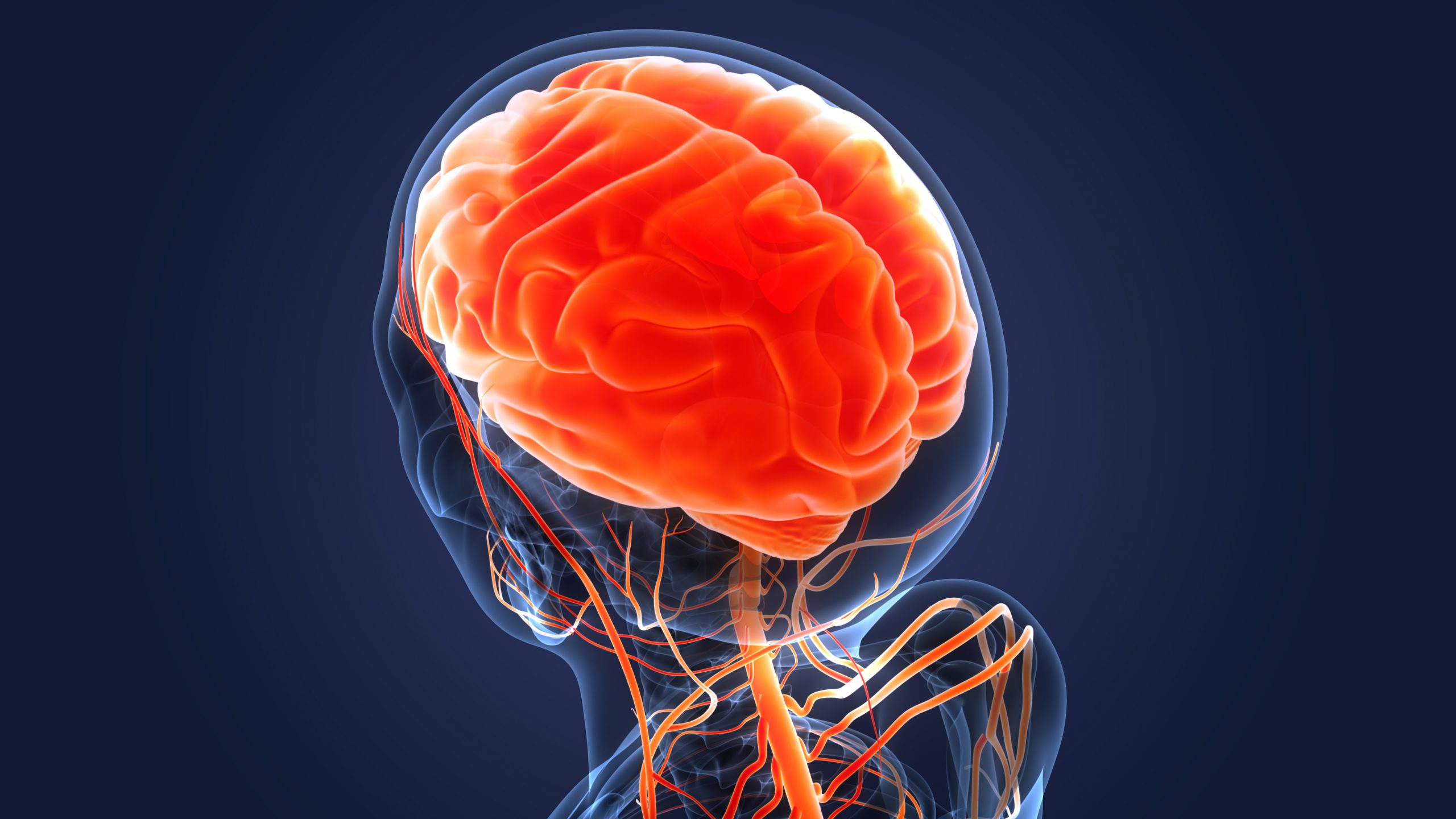 ReDLat2: El proyecto que estudiará la salud cerebral de pacientes sudamericanos