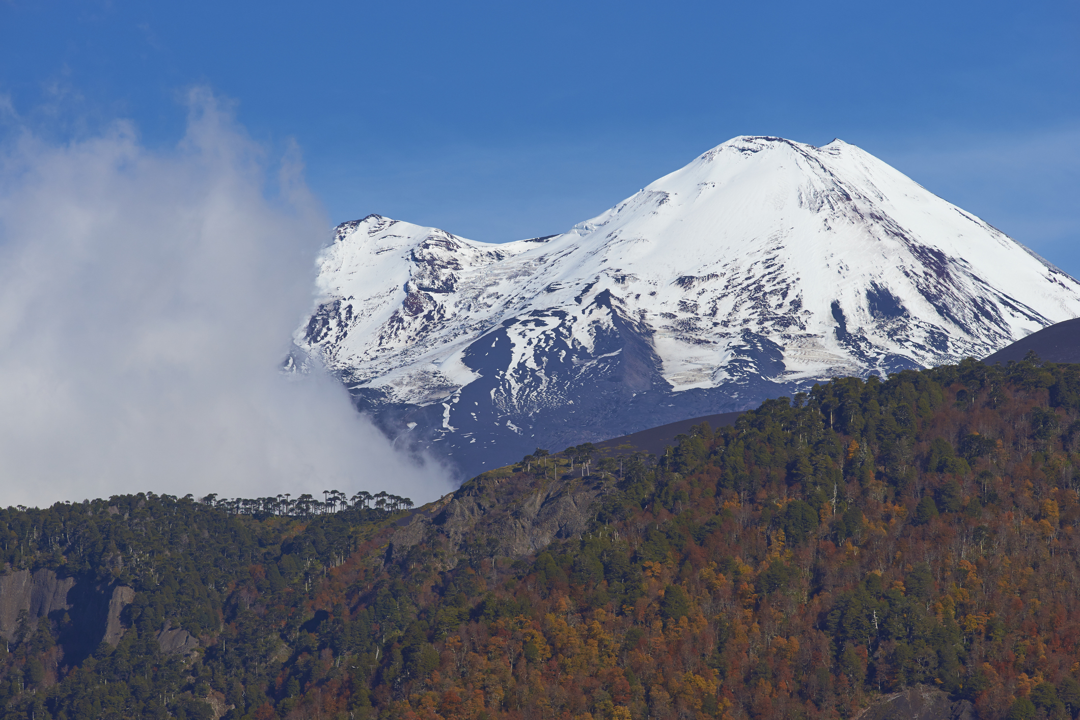 Publican libro gratuito que reúne décadas de investigación sobre los Andes del Sur