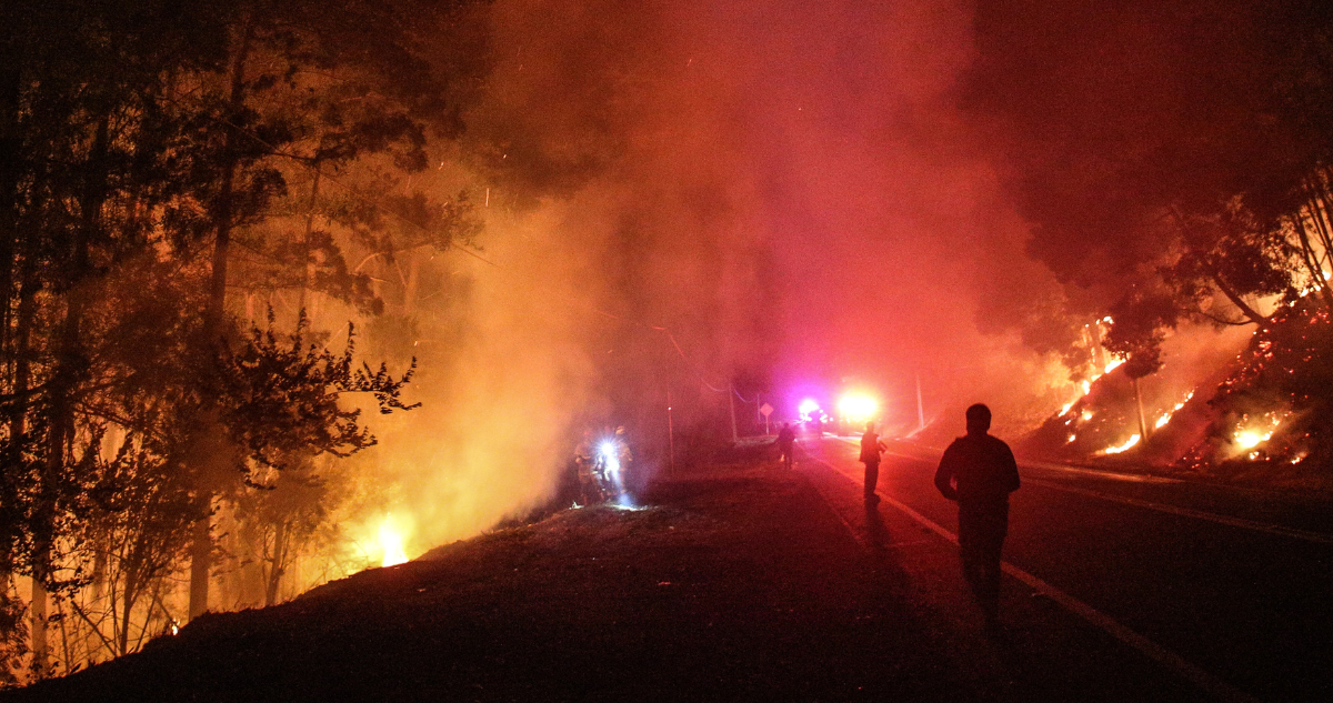 U. de Chile impulsará capacitación gratuita para prevenir incendios forestales en siete regiones